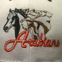 Embroidered Arabian Horse Baseball Cap front close