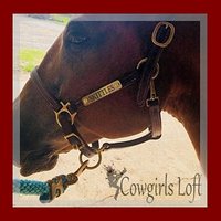 Custom Brass Horse Halter Plate - 5/8" x 3.5" - incl. 1/4" set of Chicago Screws