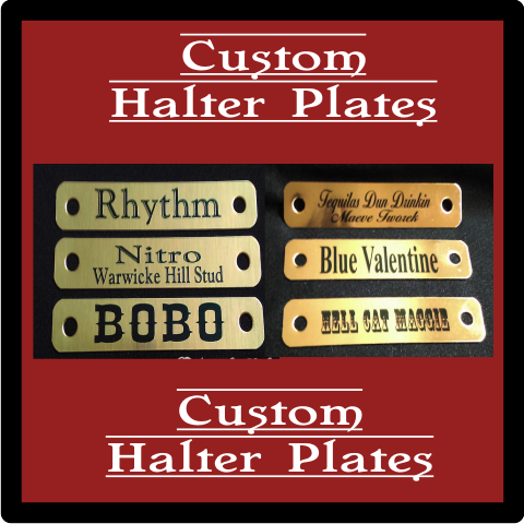 Custom Brass Horse Halter Plate - 5/8" x 3.5" - incl. 1/4" set of Chicago Screws