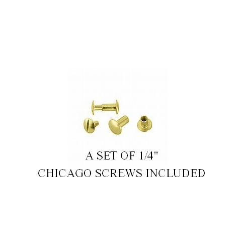 Custom Brass Horse Halter Plate - 5/8" x 3.5" - incl. 1/4" set of Chicago Screws