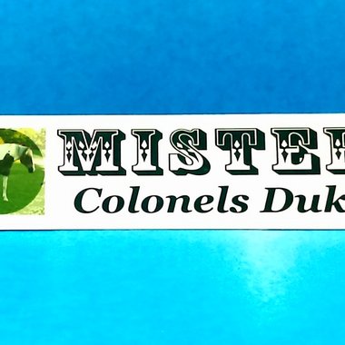 Main Sample Custom Photo Sign